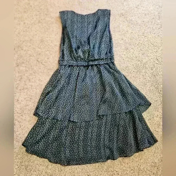 Banana Republic Factory Sleeveless Polka Dot Dress White & Navy Blue, Size 0 - Picture 4 of 6